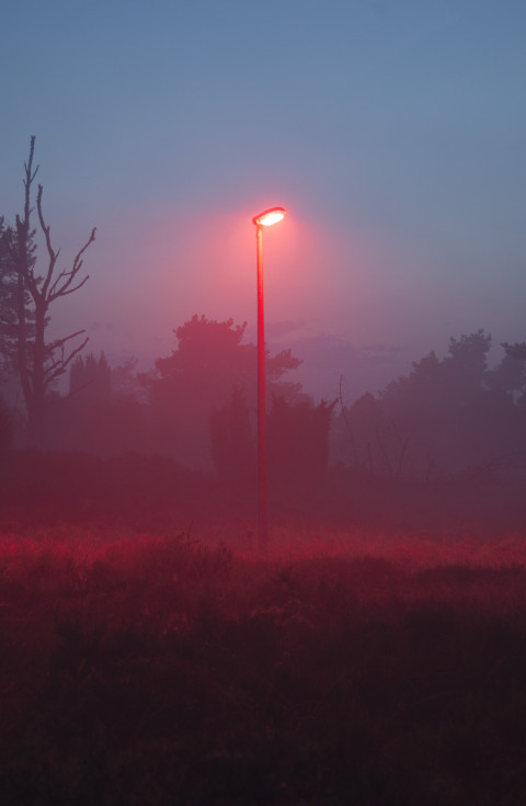 Lantaarnpaal met rood licht